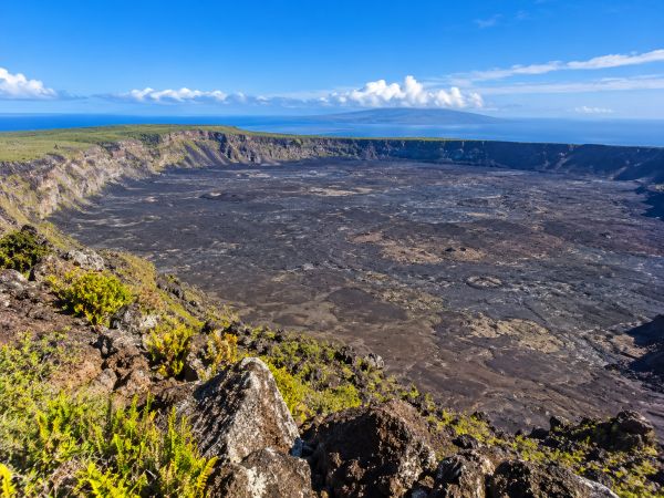 Spectacular view of Sierra Negra Volcano crater on Isabela Island in the Galapagos Islands, Ecuador, featuring vast volcanic landscapes, dramatic lava formations, lush highland vegetation, and breathtaking natural scenery.